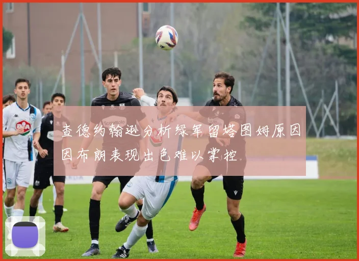 查德约翰逊分析绿军留塔图姆原因因布朗表现出色难以掌控
