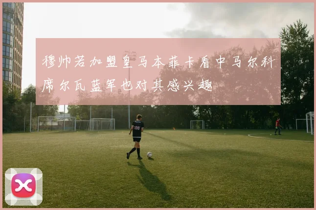 穆帅若加盟皇马本菲卡看中马尔科席尔瓦蓝军也对其感兴趣